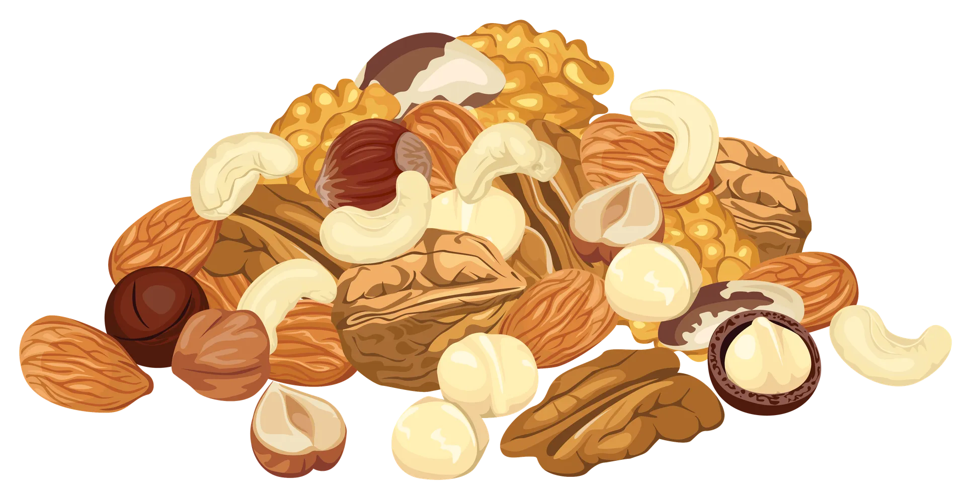 Illustration colorée d'un tas de noix variées comprenant des amandes, des noisettes, des noix de cajou et des pacanes.