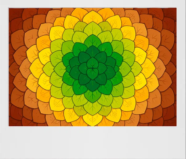Un grand mandala de feuilles en spirale qui changent de couleur.