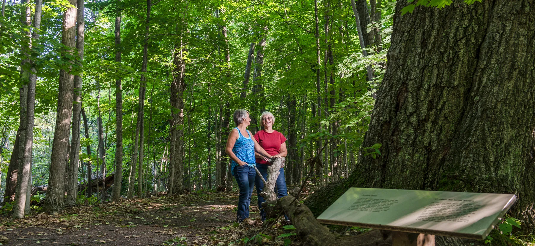 Deux femmes s'arrêtent pour discuter sur un sentier dans une grande forêt verte, près d'un panneau en bois.