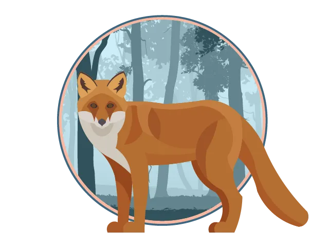Illustration d'un renard roux debout devant une forêt.