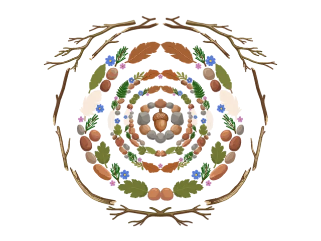 De nombreux éléments de la nature sont disposés pour former un grand mandala.